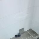 해바라기원주입주청소 이미지