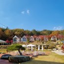 하북농업협동조합 하나로마트 이미지