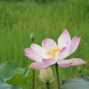 구름자리 이미지