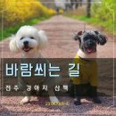 색장동공영주차장 | 전주 강아지 산책하기 좋은 바람쐬는길 feat.애견동반