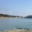 천리포항 | 태안 노지캠핑 차박 천리포항 화장실 취사가능