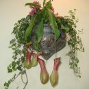 현대월드특장 이미지