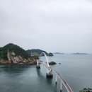 보동이네 이미지