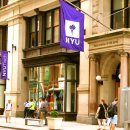 라이온 시티 PC 이미지