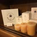 노벨라 별하나 이미지