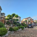 벗과뱃나루 이미지