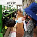 두화목장 이미지