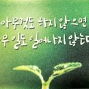 라라수입유통 네이버블로그