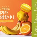 신선함