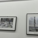 동남지물