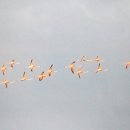 문하약국 이미지