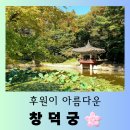 [서울 여행] 후원이 아름다운 세계문화유산 &#34;창덕궁&#34; 행복한 방문 후기