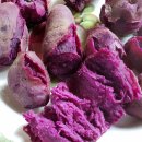 광성농장 이미지