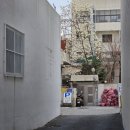 안경본데이 | 수영구안경점 안경본데이 부산수영점에서 안경렌즈교체하기