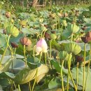 신등중학교 이미지