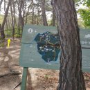 팔공산녹색길 숲길 1코스 이미지