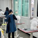 개인정애견샵 이미지