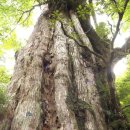 경희정수한의원 이미지