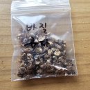 스윗바질 시나몬 바질 혼합 이미지