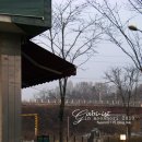 폴의골목 동물병원 이미지