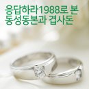 동본 이미지