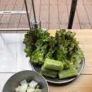 갯골자연휴양림 이미지