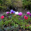 위림초교 이미지