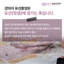 동탄원더스동물의료센터 이미지