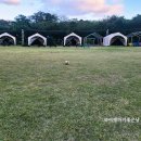 제주도 조천 숙소 제주 베스트힐 글램핑 방탄카페