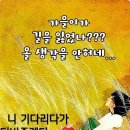 고요한 산사의 아침 이미지