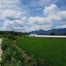 장성 공인중개사사무소 이미지