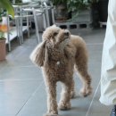 옥천길 L 이미지