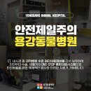 용강동물병원 이미지