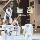 늘품태권도 이미지