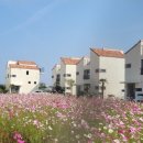 비자림빌리지 이미지