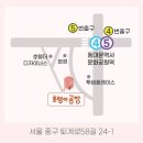 보태니컬+팝아트 이미지