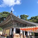 [경주 자유여행 3박 4일 코스] 아이와 함께 다녀온 행복한 경주 여행 기록으로 남기기:)