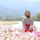 청도의하루