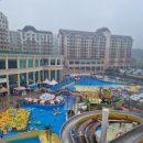 위더스K태권도장 이미지