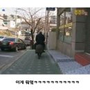 전설의 부산 3대 드루이드 이미지