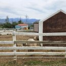 거창목장 이미지