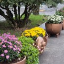 임성농장 이미지