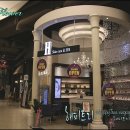 제이스플라워 이미지