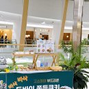 강꼬 | 동탄 두쫀쿠 팝업 1동탄 타임테라스(메타폴리스) 가격 맛 재고 후기