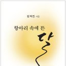 애드텍 이미지