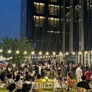 영동 와인!!~~ 와인으로 하나 된 축제