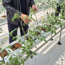 케이에스팜(주) 이미지