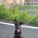 카페 콩가 이미지