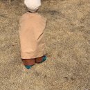 그랑디르 이미지