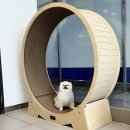 이솜 동물병원 이미지